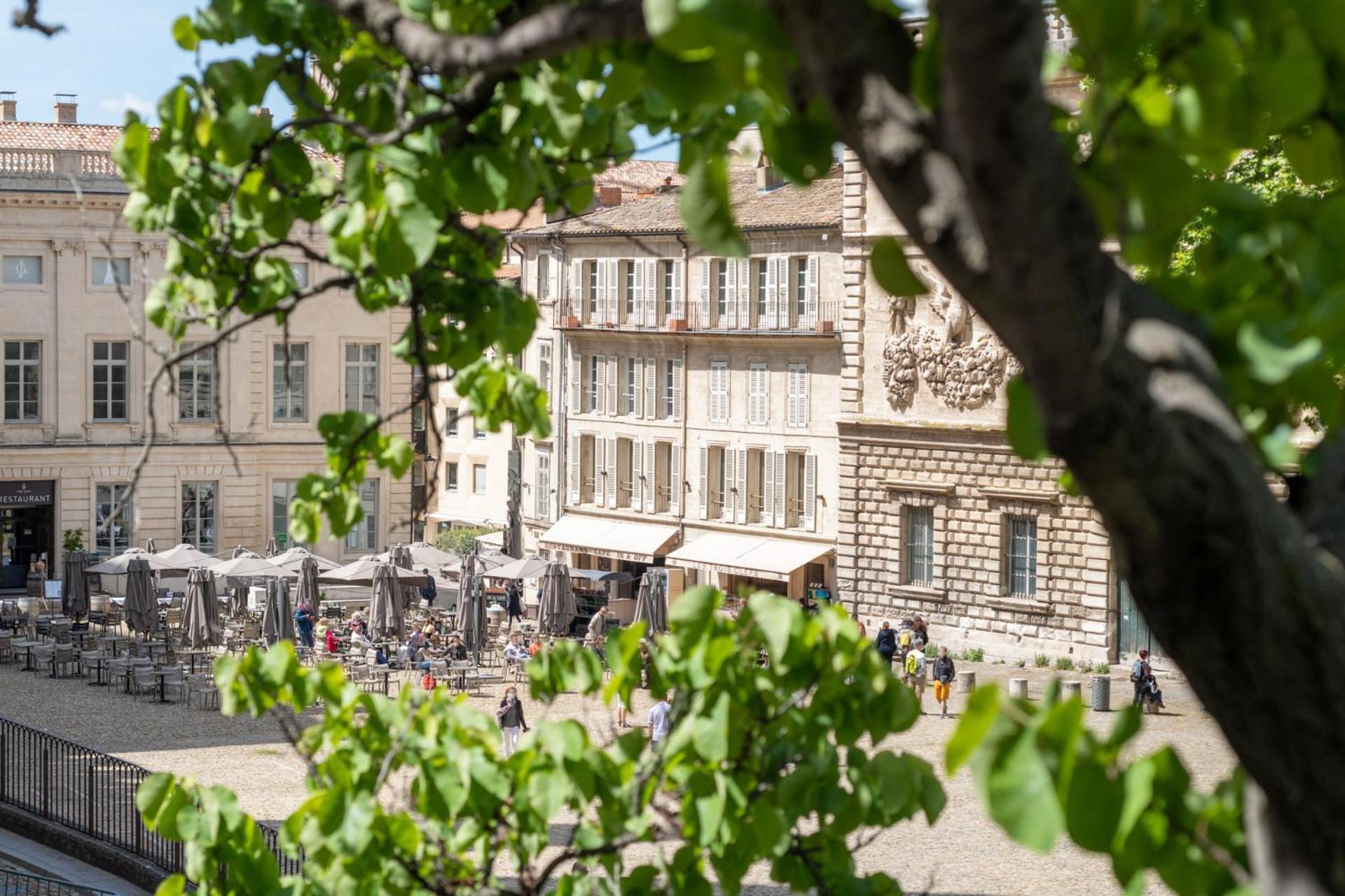 Apartamento Bien D'Exception En Face Du Palais Des Papes Aviñón Exterior foto